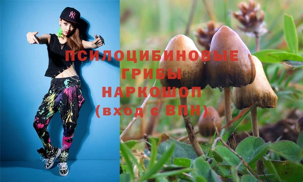 а пвп мука Ладушкин