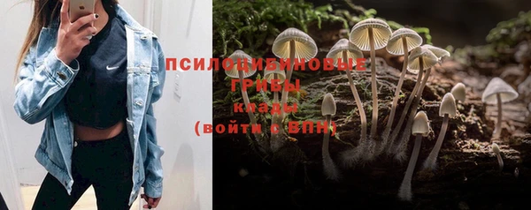 а пвп мука Ладушкин
