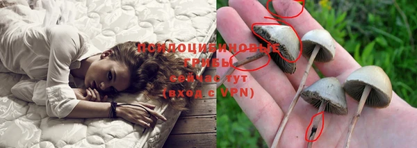 mdpv Лабытнанги