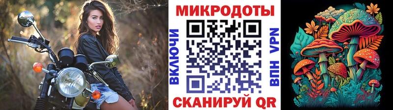Галлюциногенные грибы Psilocybe  Купить где  Печоры 