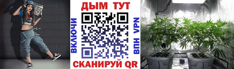Купить  Печоры  Конопля VHQ 